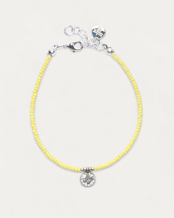 Little Coin Lemon Lime