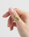 Ring Ginkgo Biloba