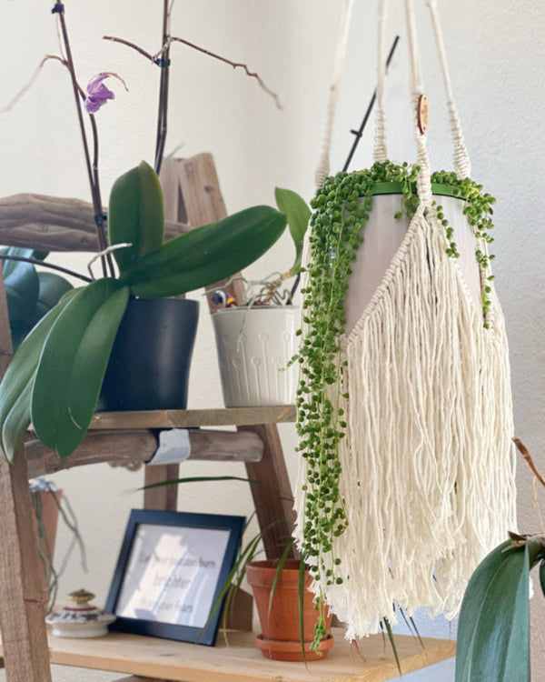 Boho Fringe - Cotton Plant Hanger
