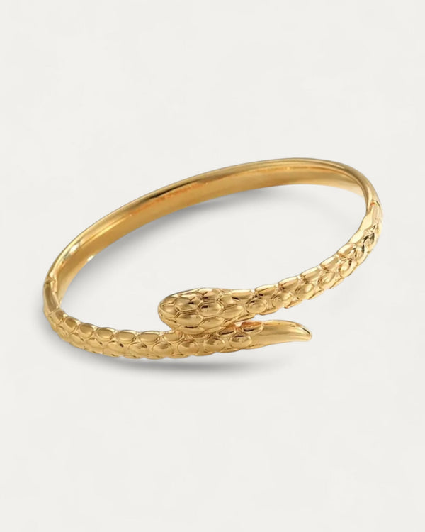 Snake Bracelet