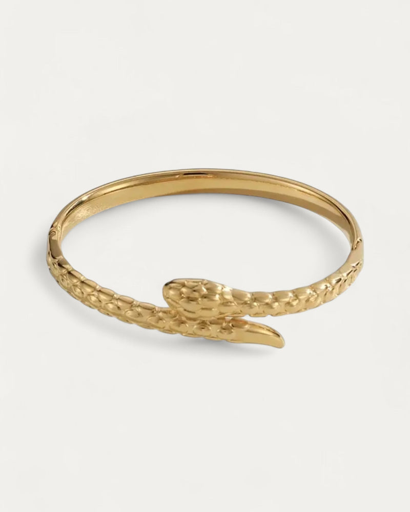 Snake Bracelet