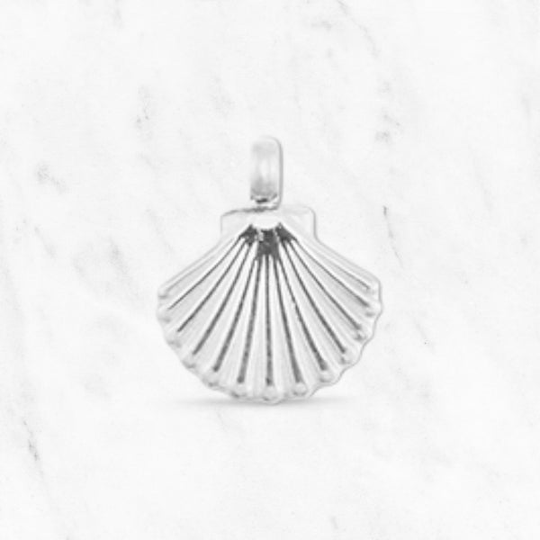 "Small Shell Silver Joy"