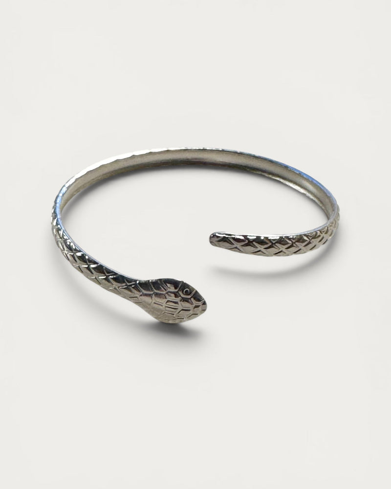 Snake Bracelet