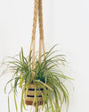 Sweet Home Plant Hanger