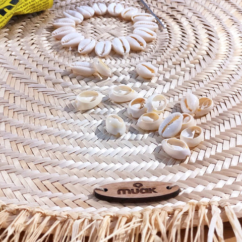 Shell Hanging Basket