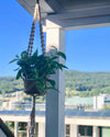 Jute Macrame Plant Hanger