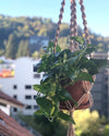 Jute Macrame Plant Hanger