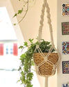 Double Macrame Plant Hanger