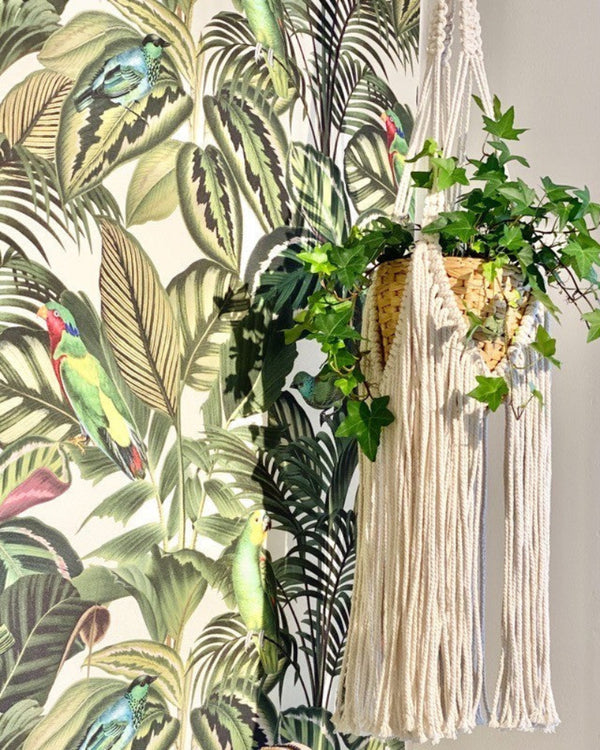 Boho Fringe - Cotton Plant Hanger