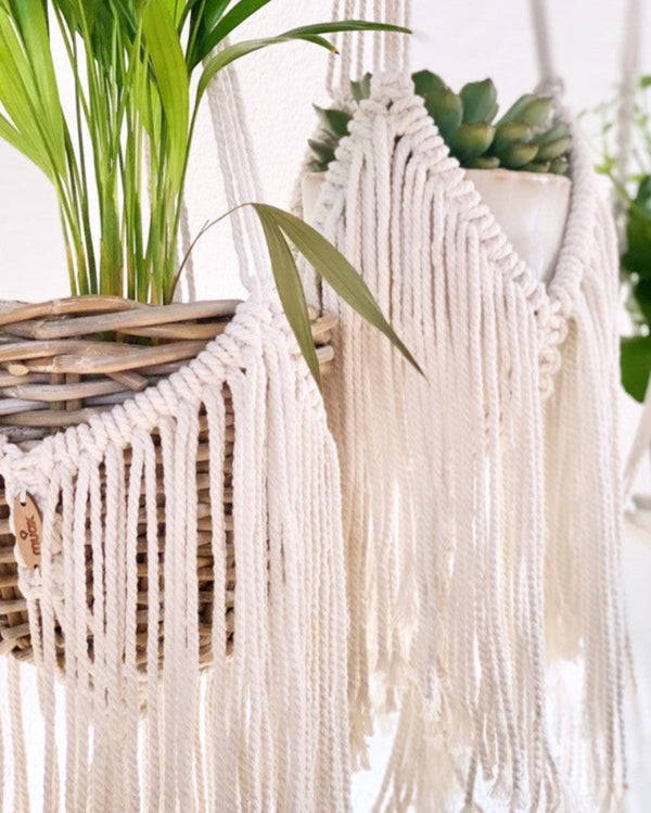 Boho Fringe - Cotton Plant Hanger