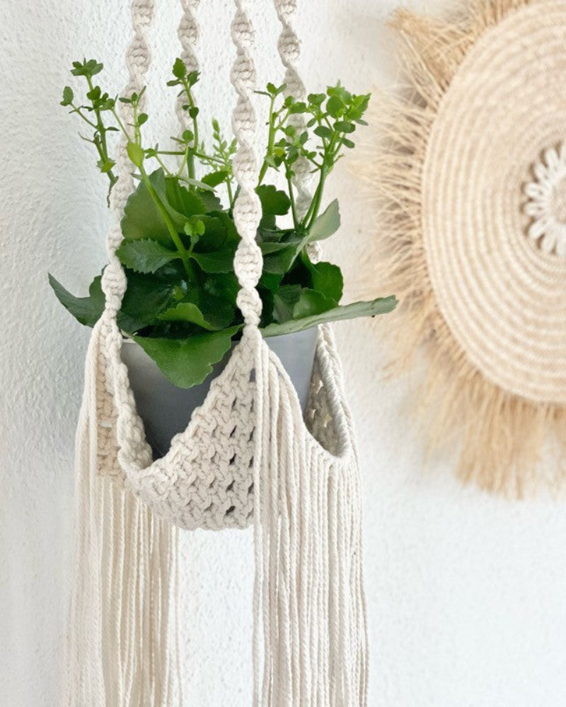 fringe plant hanger Fringe