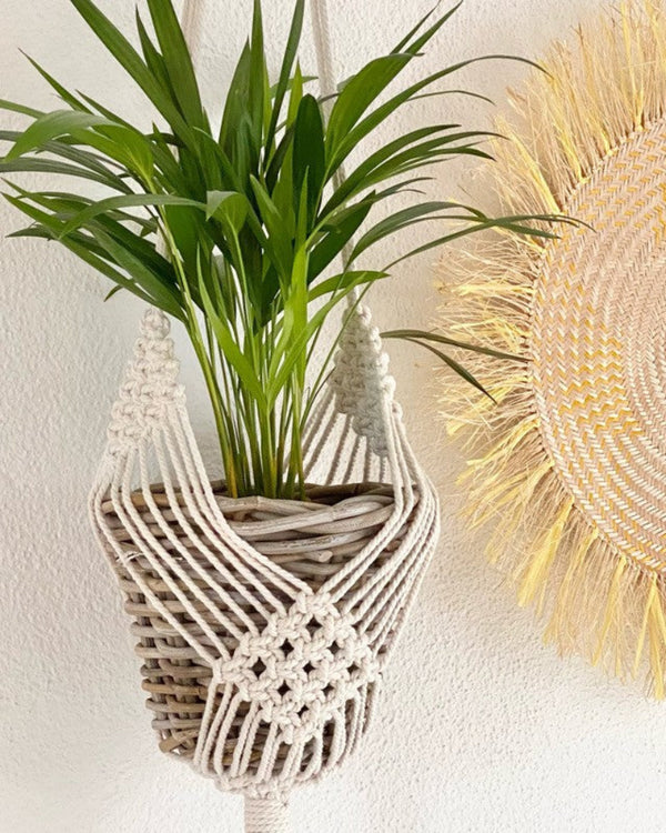 Elegant Cotton Plant Hanger