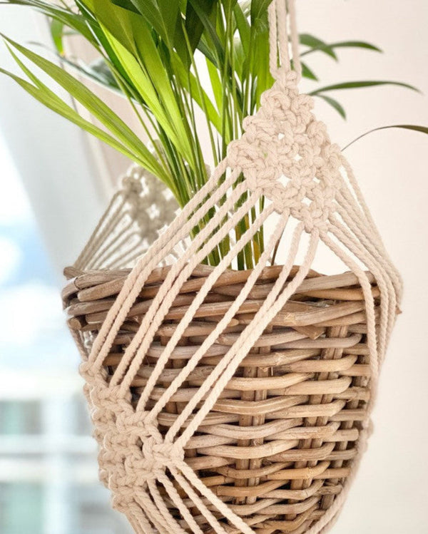 Elegant Cotton Plant Hanger