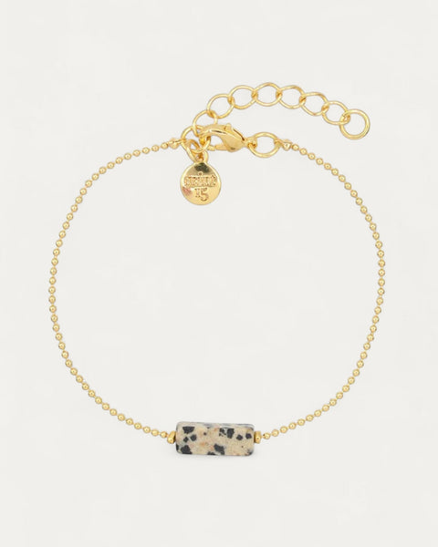Gemstone Dalmatian Jasper