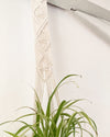 Knotty Plant Hanger