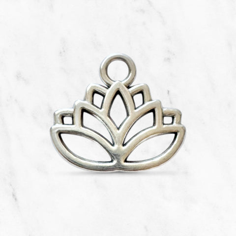 "Lotus Silver STC "
