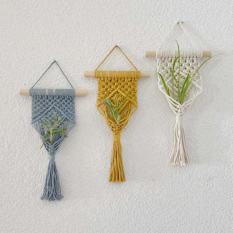 Mini Plant Hanger