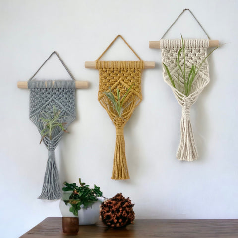 Mini Plant Hanger