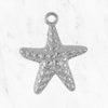 "Silver Starfish Big STC"