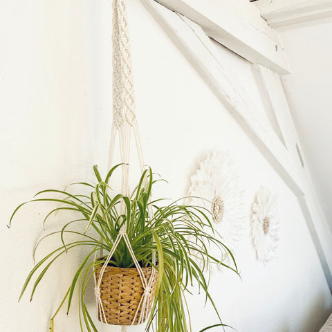 Sweet Home Plant Hanger