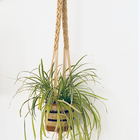 Sweet Home Plant Hanger