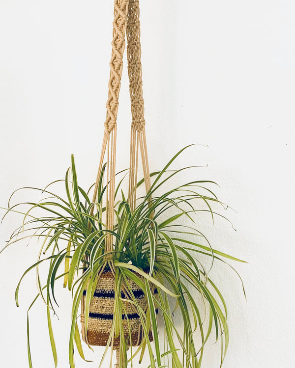 Sweet Home Plant Hanger