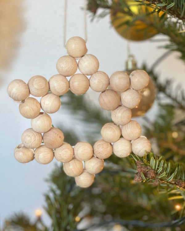 Natural Christmas Star