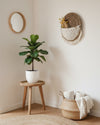 Macrame Wall Wicker Basket