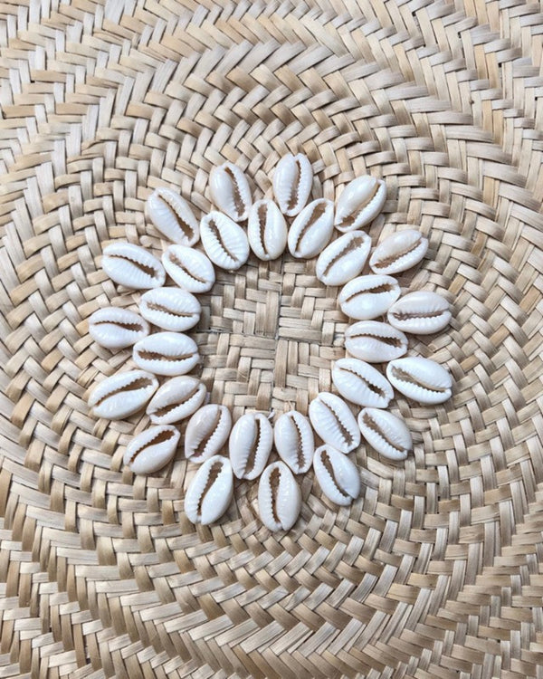 Shell Hanging Basket