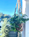 Jute Macrame Plant Hanger