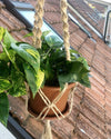 Jute Macrame Plant Hanger