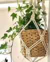 Double Macrame Plant Hanger