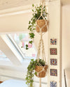 Double Macrame Plant Hanger