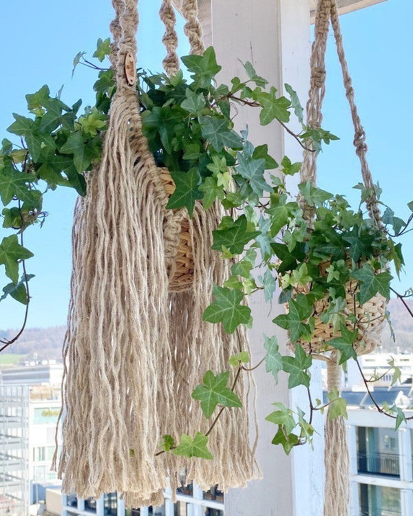 Boho Fringe - Jute Plant Hanger