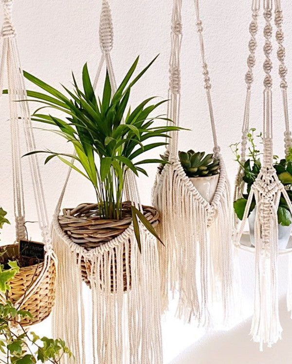 Boho Fringe - Cotton Plant Hanger