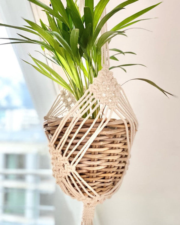 Elegant Cotton Plant Hanger